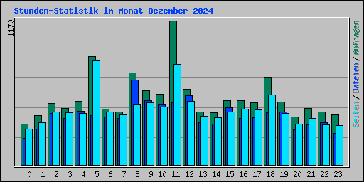 Stunden-Statistik im Monat Dezember 2024
