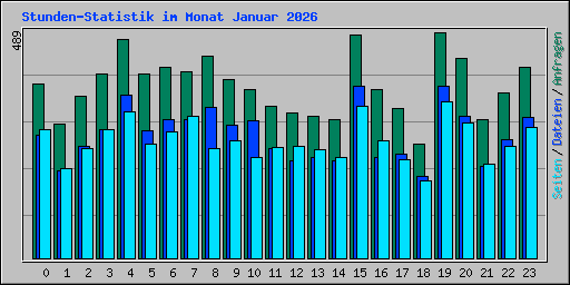 Stunden-Statistik im Monat Januar 2026